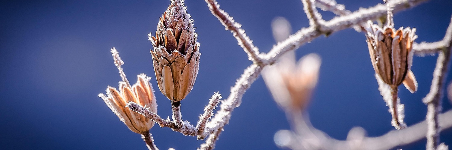 News und Inspiration für den Winter aus Südtirol